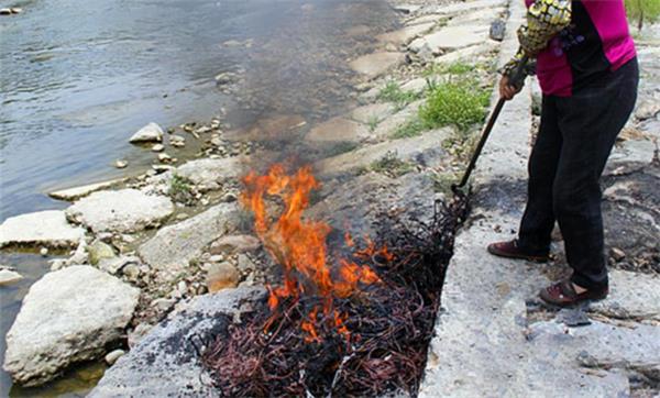 珠江電纜快訊|不懂法真可怕，露天燒電線=攤上大事